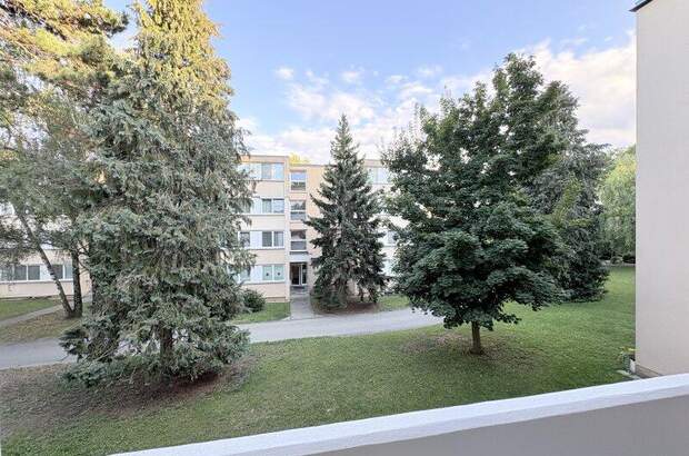 Terrassenwohnung kaufen in 3400 Klosterneuburg (Bild 2)