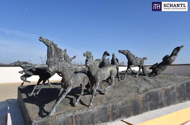 Terrassenwohnung kaufen in 8113 Sankt Bartholomä (Bild 5)
