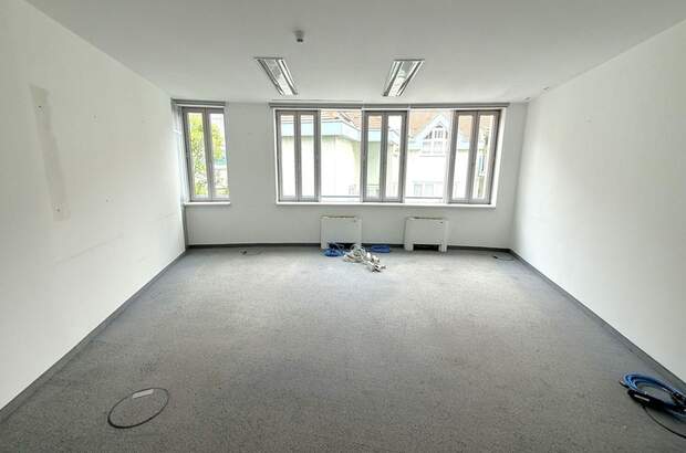 Gewerbeobjekt mieten in 2340 Mödling (Bild 3)