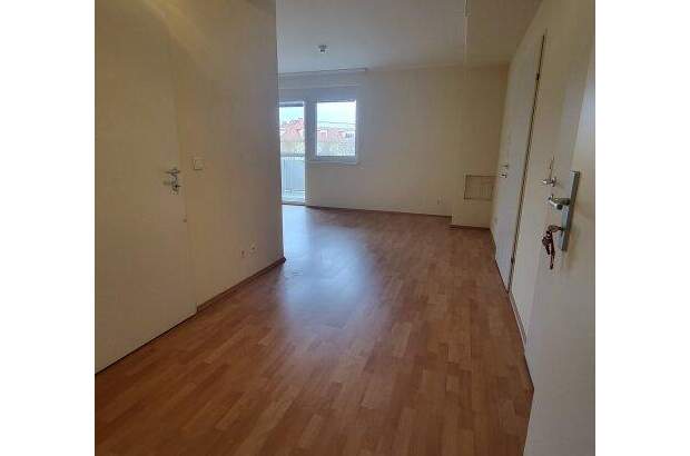 Terrassenwohnung mieten in 2840 Grimmenstein (Bild 4)