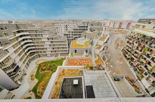 Terrassenwohnung kaufen in 1220 Wien (Bild 2)