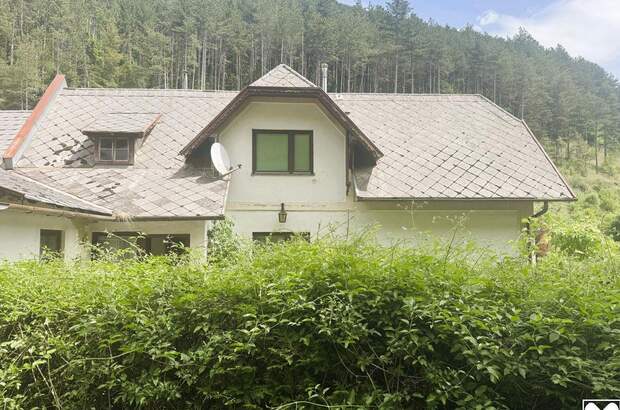 Haus kaufen in 2734 Puchberg (Bild 5)