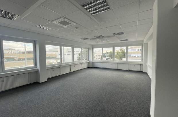 Gewerbeobjekt mieten in 1230 Wien (Bild 1)