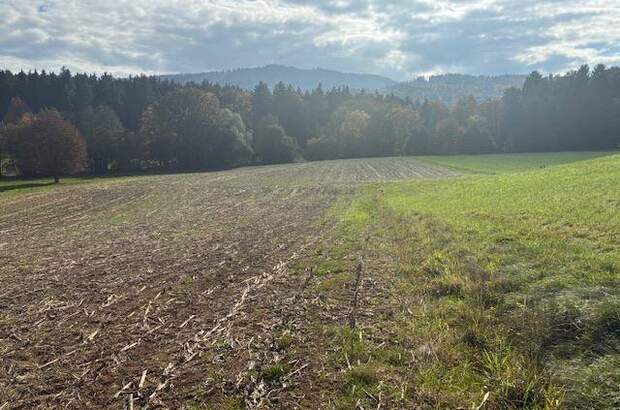 Grundstück kaufen in 4861 Aurach (Bild 2)