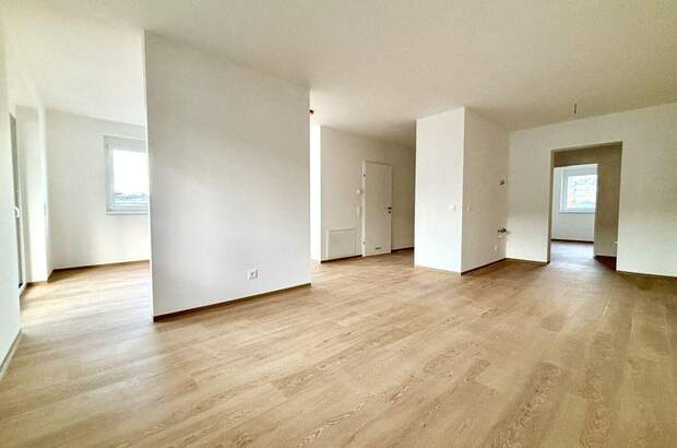 Wohnung mieten in 4560 Kirchdorf (Bild 3)