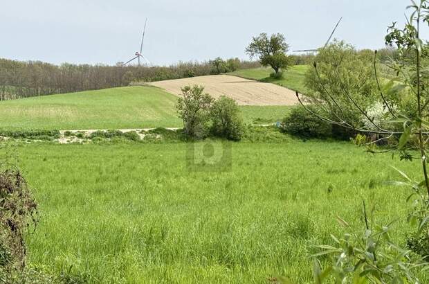 Grundstück kaufen in 7032 Sigleß (Bild 1)