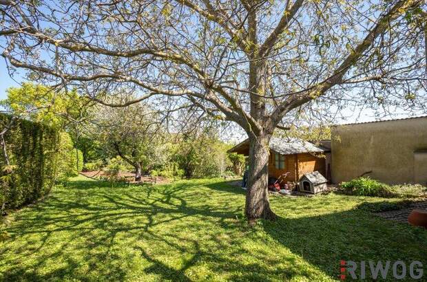 Einfamilienhaus kaufen in 2372 Gießhübl (Bild 4)