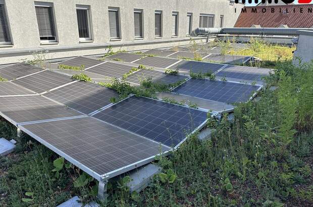 Gewerbeobjekt mieten in 4020 Linz (Bild 5)