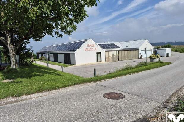 Gewerbeobjekt mieten in 4073 Wilhering (Bild 1)