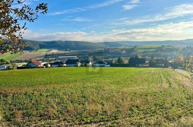 Grundstück kaufen in 3443 Sieghartskirchen (Bild 3)