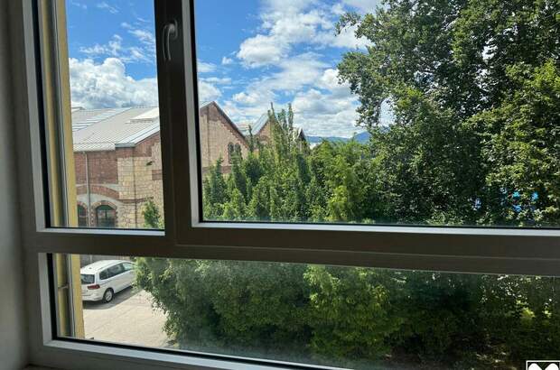 Gewerbeobjekt mieten in 2630 Ternitz (Bild 3)