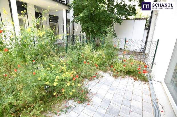 Terrassenwohnung kaufen in 1160 Wien (Bild 3)