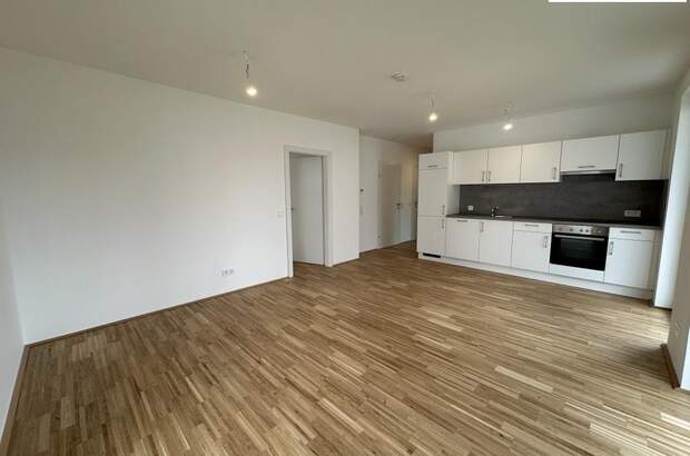 Terrassenwohnung mieten in 3100 St. Pölten (Bild 2)