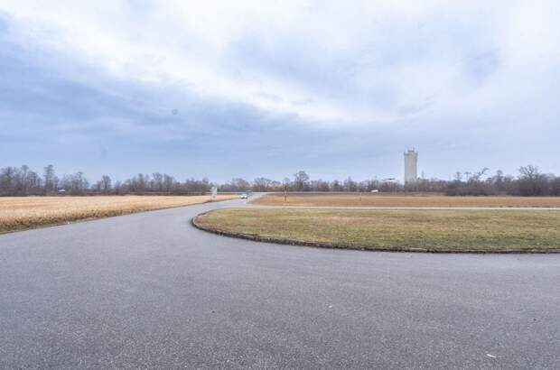 Gewerbeobjekt mieten in 4053 Ansfelden (Bild 4)