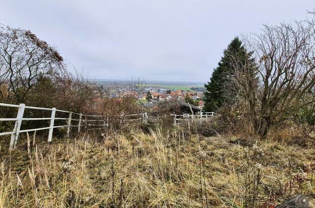Haus mit Garten kaufen in 3433 Königstetten (Bild 5)