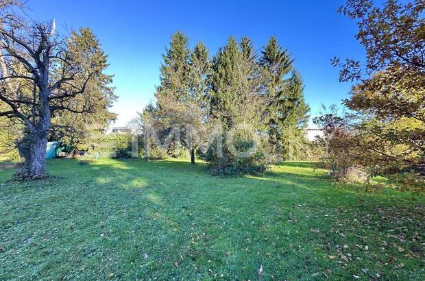 Grundstück kaufen in 6972 Fußach (Bild 2)