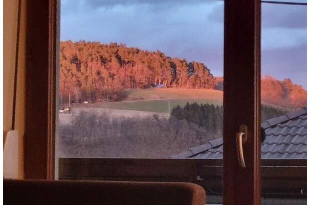 Einfamilienhaus kaufen in 4230 Pregarten (Bild 5)