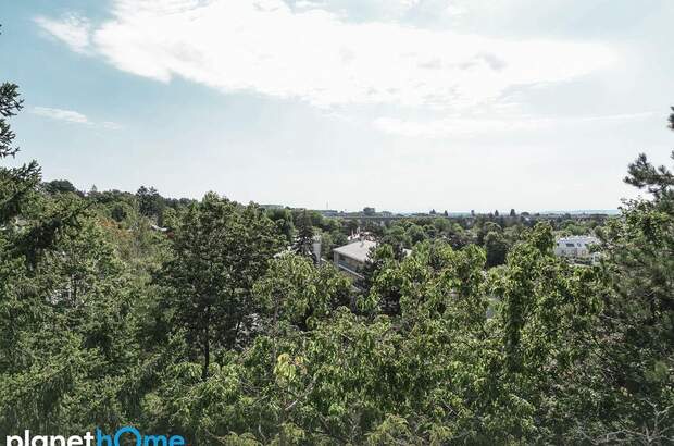 Wohnung kaufen in 1230 Wien (Bild 2)