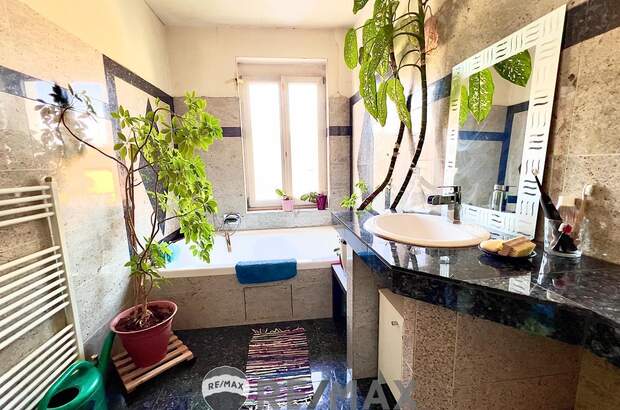 Mehrfamilienhaus kaufen in 2410 Hainburg (Bild 3)