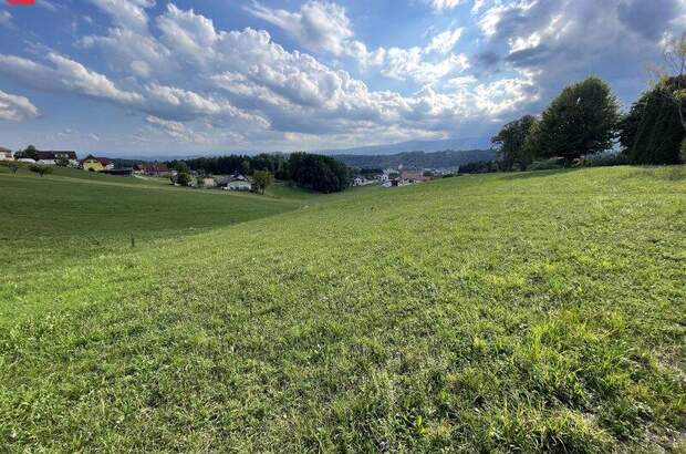 Grundstück kaufen in 8151 Hitzendorf (Bild 3)