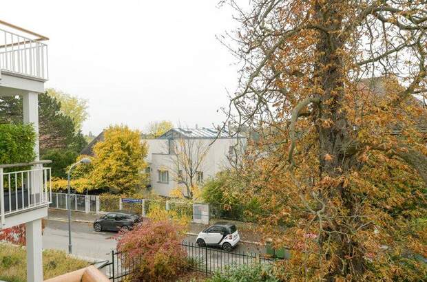 Terrassenwohnung mieten in 1190 Wien (Bild 5)