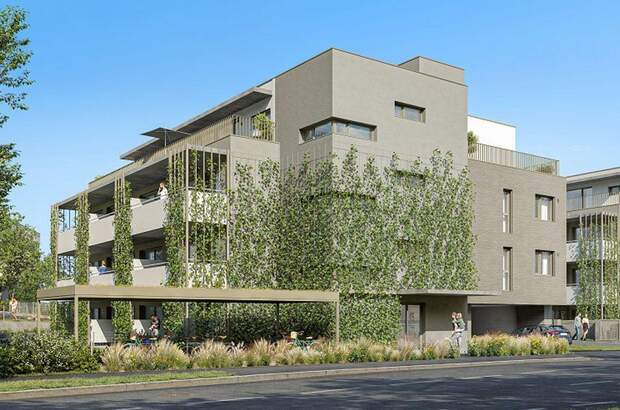 Wohnung kaufen in 2340 Mödling (Bild 1)