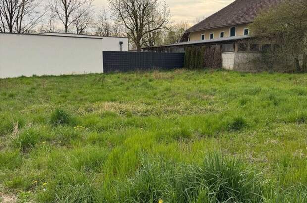 Grundstück kaufen in 4063 Breitbrunn (Bild 3)