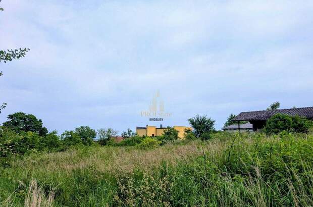 Grundstück kaufen in 4611 Buchkirchen (Bild 3)