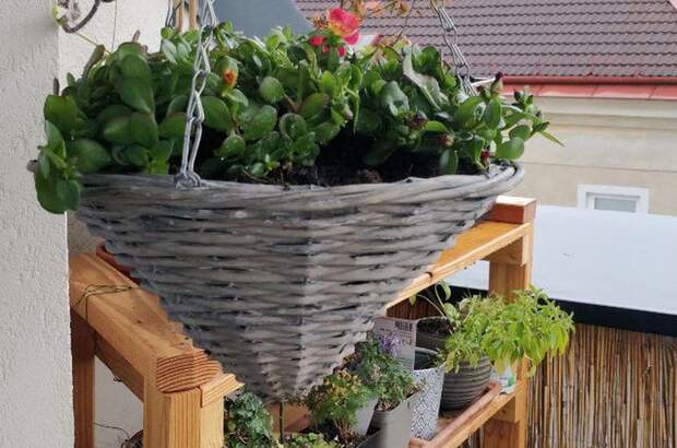 Mietwohnung in 1140 Wien (Bild 4)