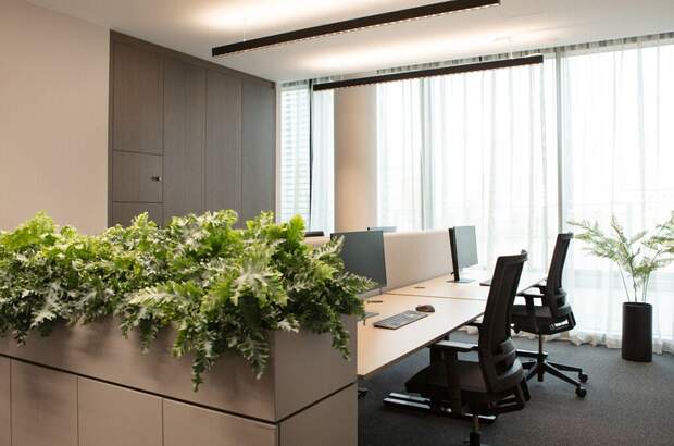 Gewerbeobjekt mieten in 1020 Wien (Bild 4)