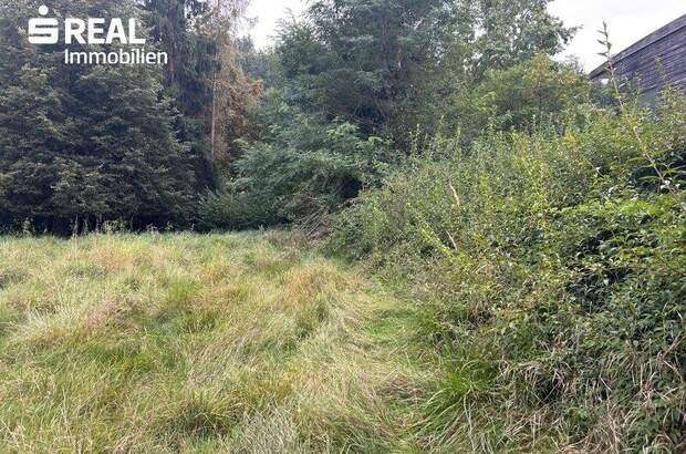 Grundstück kaufen in 8010 Graz (Bild 3)