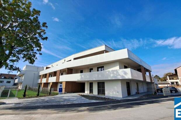 Büro / Praxis kaufen in 7100 Neusiedl (Bild 5)