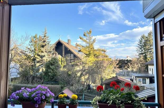 Wohnung mit Balkon kaufen in 2020 Hollabrunn (Bild 1)