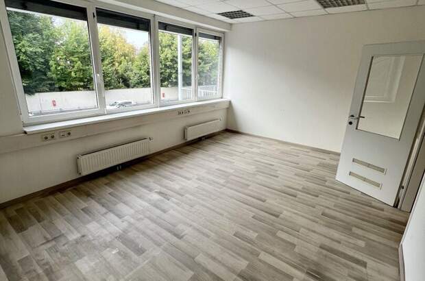 Gewerbeobjekt mieten in 4600 Wels (Bild 1)