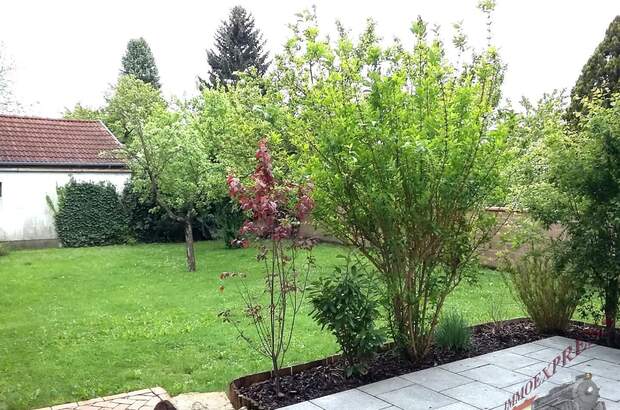 Mehrfamilienhaus kaufen in 2485 Wimpassing (Bild 3)