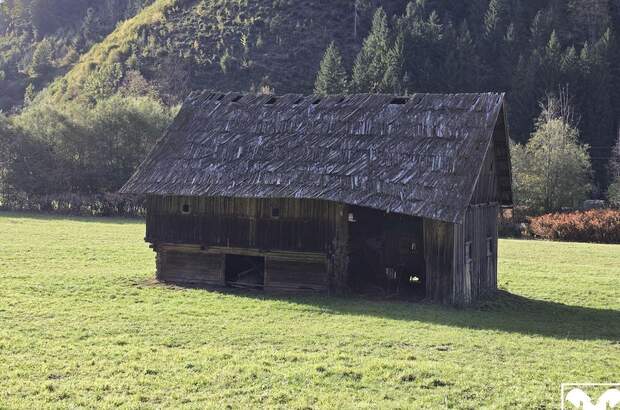 Grundstück kaufen in 9135 Ebriach (Bild 4)