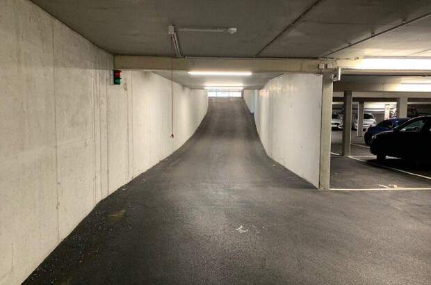 Halle / Lager / Produktion mieten in 2353 Guntramsdorf (Bild 3)