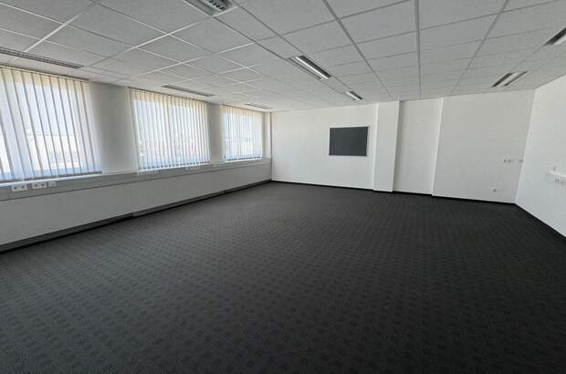 Gewerbeobjekt mieten in 4600 Thalheim (Bild 3)