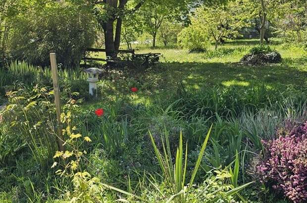Haus mit Garten kaufen in 8234 Rohrbach (Bild 1)