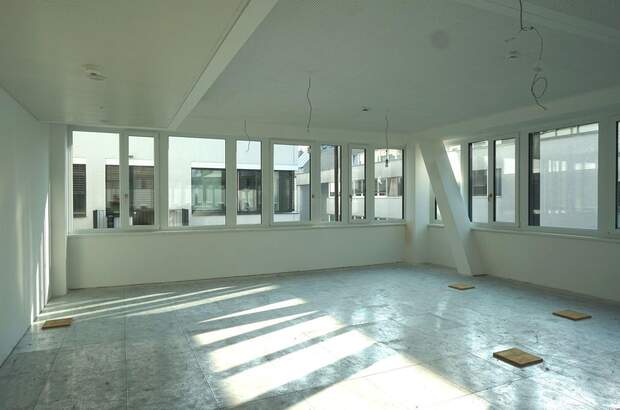 Gewerbeobjekt mieten in 1210 Wien (Bild 3)