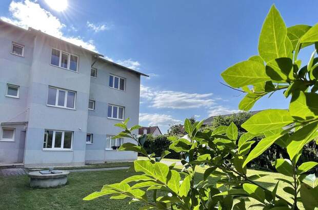 Wohnung mieten in 4600 Wels (Bild 1)