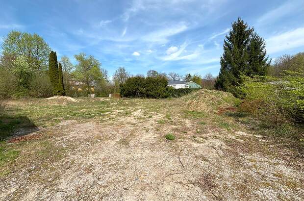 Grundstück kaufen in 5081 Anif (Bild 3)