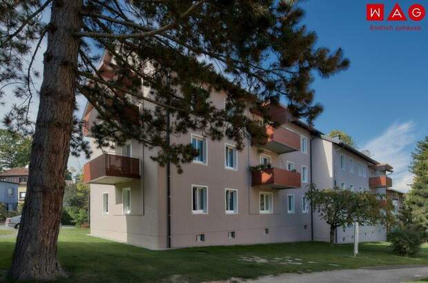 Wohnung mieten in 4910 Ried (Bild 1)