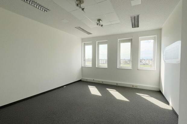 Gewerbeobjekt mieten in 8042 Graz (Bild 4)