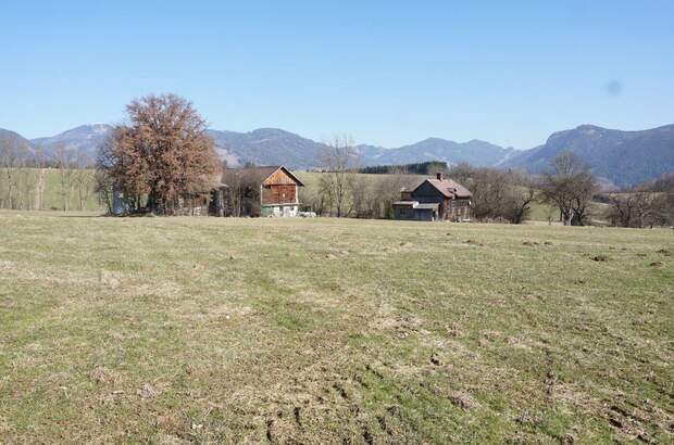 Gewerbeobjekt kaufen in 8793 Trofaiach (Bild 1)