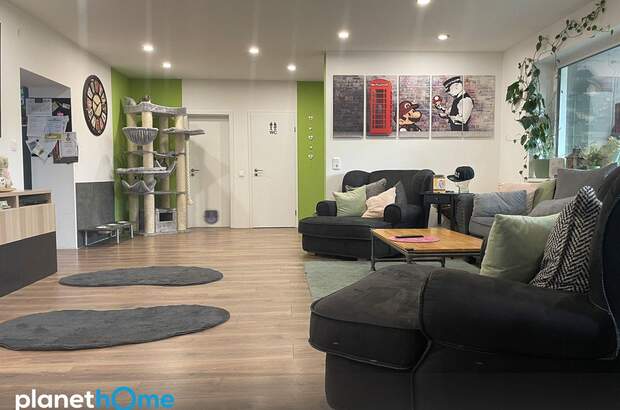 Haus kaufen in 7441 Pilgersdorf (Bild 3)