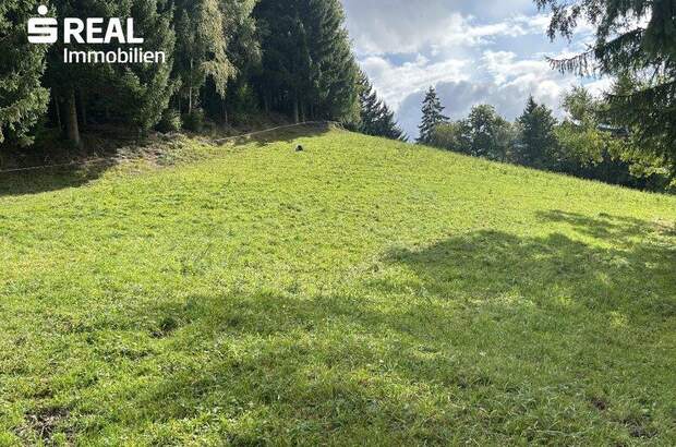 Grundstück kaufen in 8954 St. Martin (Bild 2)