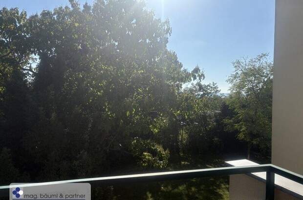 Terrassenwohnung kaufen in 1100 Wien (Bild 1)