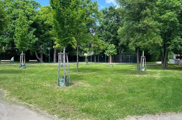 Haus mit Garten kaufen in 1230 Wien (Bild 4)