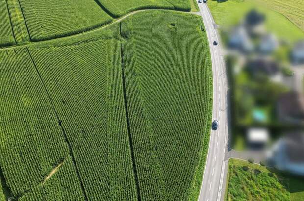 Gewerbeobjekt kaufen in 8421 Breitenfeld (Bild 4)